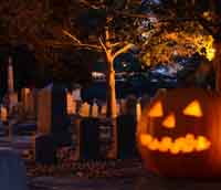 Carved Halloween
pumpkin